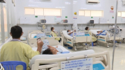 Thêm 2 ca tử vong do sốt xuất huyết ở Đồng Nai