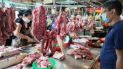 Phó Thủ tướng yêu cầu thực hiện ngay biện pháp bình ổn giá thịt lợn