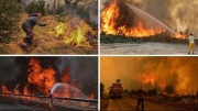 Lý do "không ngờ" đẩy châu Âu vào tình trạng cháy rừng cực nguy hiểm