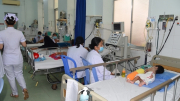 Bệnh sốt xuất huyết vẫn phức tạp tại khu vực TP Hồ Chí Minh