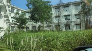 Bệnh viện tuyến tỉnh “tụt hạng”, bị bỏ hoang phế