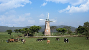 Cụm trang trại bò sữa Vinamilk Đà Lạt được vinh danh tại Giải thưởng Môi trường Việt Nam
