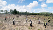 Sẽ cưỡng chế các trường hợp vi phạm về rừng, môi trường tại Phú Quốc