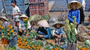 Chợ Việt truyền thống trong đời sống đô thị hóa, công nghiệp hóa