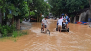 Hà Nội: Lũ về trong đêm, hàng trăm hộ dân thôn Bùi phải sơ tán