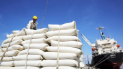 Điều hành xuất khẩu gạo, đảm bảo ổn định thị trường và lợi ích người dân
