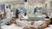 Dịch truyền đặc trị sốc sốt xuất huyết về tới Việt Nam