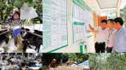 20 năm làm tín dụng chính sách xã hội bằng cả trái tim