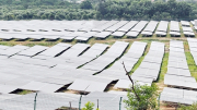 Giải quyết bất cập tại các dự án năng lượng tái tạo ở Phú Yên