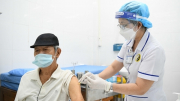 Xem xét tiêm miễn phí vaccine phòng bệnh dại cho người nghèo