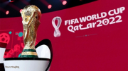 Bản quyền World Cup 2022 và bài toán chặn kênh “xem lậu”