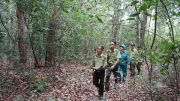 Khởi tố thêm 2 cán bộ liên quan vụ phá rừng Bình Châu - Phước Bửu