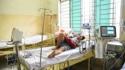 Ban hành khẩn quy trình “báo động đỏ” nhằm giảm thiểu tử vong do sốt xuất huyết