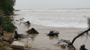 Quảng Bình: Sạt lở nghiêm trọng gần 2km bờ biển
