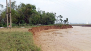 Quảng Nam công bố tình huống khẩn cấp về sạt lở bờ sông Quảng Huế
