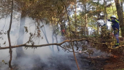 Điều tra nguyên nhân vụ cháy hơn 1ha rừng tại Sóc Sơn
