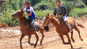 Lễ hội đua ngựa không yên dưới chân núi Langbiang