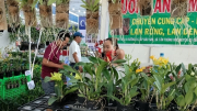 Giải pháp phát triển nông nghiệp TP Hồ Chí Minh