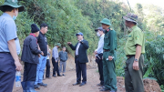Đề xuất Chính phủ chuyển 7,6ha rừng tự nhiên để làm đường Trường Sơn Đông