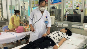 Ca mắc sốt xuất huyết tăng cao đột ngột, nhiều bệnh viện tại Bình Định quá tải