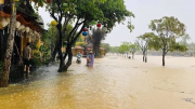 Nước lũ ngập sâu nhiều nơi tại Quảng Nam, Hội An hoãn tổ chức một số sự kiện