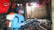 Sốt xuất huyết bùng phát, ghi nhận hơn 8.000 ca mắc ở Quảng Bình