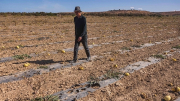 Cuộc chiến nguồn nước của nông dân Morocco
