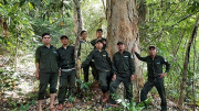 Cách làm hay trong quản lý, bảo vệ rừng tại Nam Giang