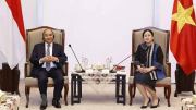 Thúc đẩy và làm sâu sắc hơn nữa quan hệ Đối tác chiến lược Việt Nam - Indonesia