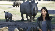Nhà bảo tồn động vật hoang dã Trang Nguyễn: “Cô gái rừng xanh”