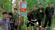 Nam Giang chú trọng công tác phát triển rừng bền vững
