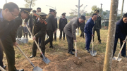 Bộ trưởng Tô Lâm phát động "Tết trồng cây - Vì một Việt Nam xanh" Xuân Quý Mão