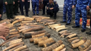 Thu giữ gần nửa tấn ngà voi nhập lậu qua cảng Hải Phòng