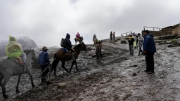 Lở đất nghiêm trọng ở Peru, hơn 20 người thương vong