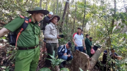 Chủ tịch huyện chỉ đạo xử lý vụ phá rừng tại hiện trường