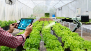 Ứng dụng công nghệ trong sản xuất nông nghiệp