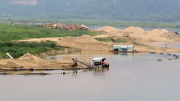 Quảng Nam chỉ đạo nóng việc hàng loạt cơ sở khai thác cát “đóng cửa ủ men”!