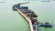 Vì sao cảng cá Thuận An chưa đưa vào khai thác, sử dụng?