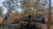 Tham gia chữa cháy rừng, 2 người tử vong