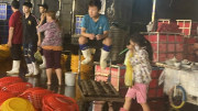 Những đứa trẻ phiêu dạt ở chợ đầu mối Bình Điền