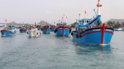 Châu Âu đánh giá cao quyết tâm của Việt Nam trong ngăn chặn đánh bắt cá bất hợp pháp