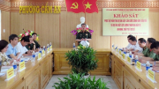 Khảo sát, thẩm tra 2 dự án luật tại phường giáp biển ở Quảng Nam