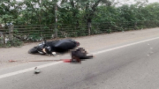 Chạy xe máy vào Đại lộ Thăng Long, người phụ nữ tử vong