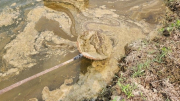 Báo động nguồn nước sông Sa Lung bị ô nhiễm nặng