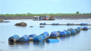 Đẩy nhanh tiến độ công trình hồ chứa 3,85 triệu m3 nước ngọt ở Cà Mau