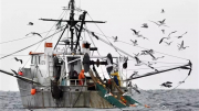 Trung Quốc dồn lực tìm kiếm 39 người mất tích vì lật tàu cá