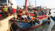 Ngư dân Thừa Thiên-Huế chung sức gỡ bỏ “thẻ vàng” IUU
