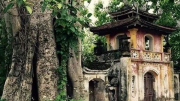Di tích - đến khổ với trùng tu, tôn tạo