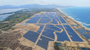 Dự án của Bamboo Capital “về đích” đầu tiên trong số dự án năng lượng tái tạo chuyển tiếp
