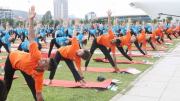 35 tỉnh thành Việt Nam tham gia Ngày quốc tế Yoga lần thứ 9